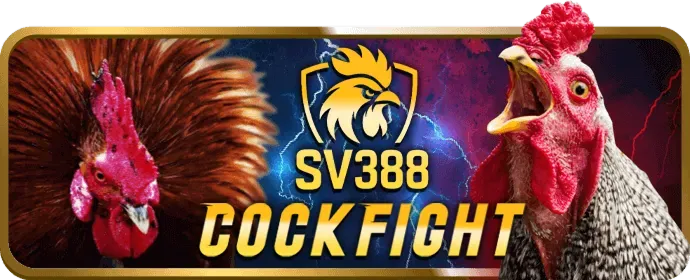 Hướng dẫn tải hihi88 app trên điện thoại